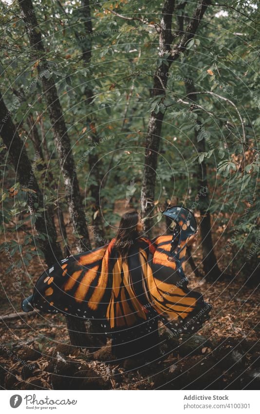 Frau in Schmetterlingstracht im Wald Tanzen Tracht Flügel Kap Baum Natur Hügel Angebot Eleganz zierlich Wanze Insekt Nachahmung üppig (Wuchs) Laubwerk Berghang