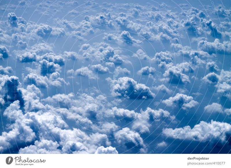 Wolkenbilder gehen immer... Umwelt Natur Urelemente Luft nur Himmel Winter Klima Schönes Wetter Verkehr Luftverkehr Flugzeug im Flugzeug Gefühle Stimmung Freude