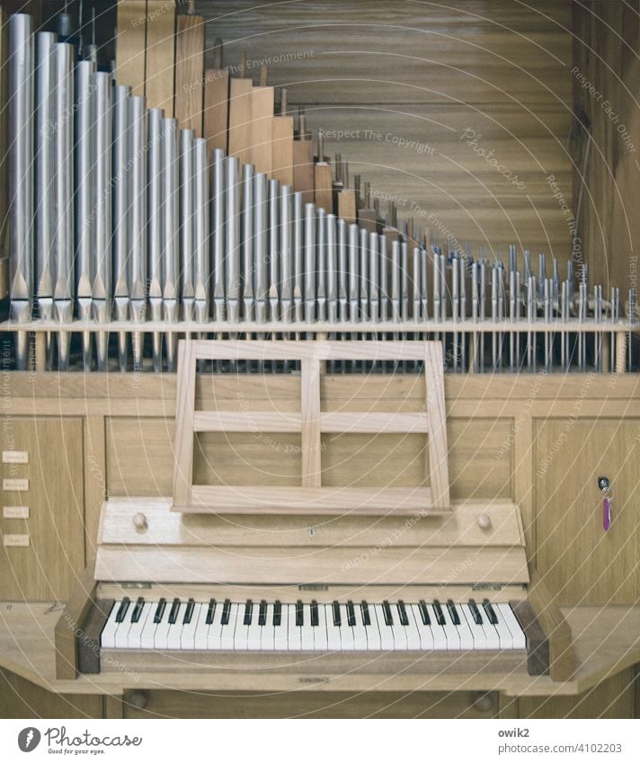 Bis auf Anschlag Orgel Musikinstrument Orgelpfeife Holz Metall Tradition Farbfoto Gedeckte Farben Innenaufnahme Strukturen & Formen Totale Menschenleer