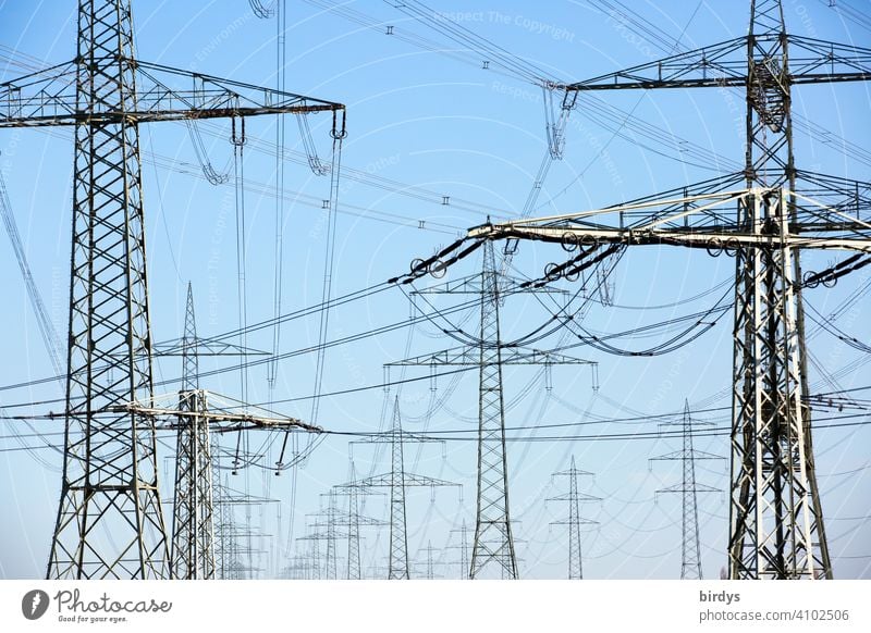Stromtrasse, Hochspannungsleitungen an hohen Strommasten. Formatfüllend Elektrizität Stromautobahn Stromtransport Stromversorgung Überlandleitung