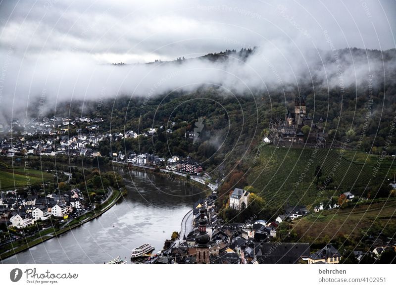 wein wandern Wege & Pfade Hunsrück Moseltal Weinbau Rheinland-Pfalz Mosel (Weinbaugebiet) Weinstock Weinberg Weintrauben Weinrebe Landschaft Berge u. Gebirge