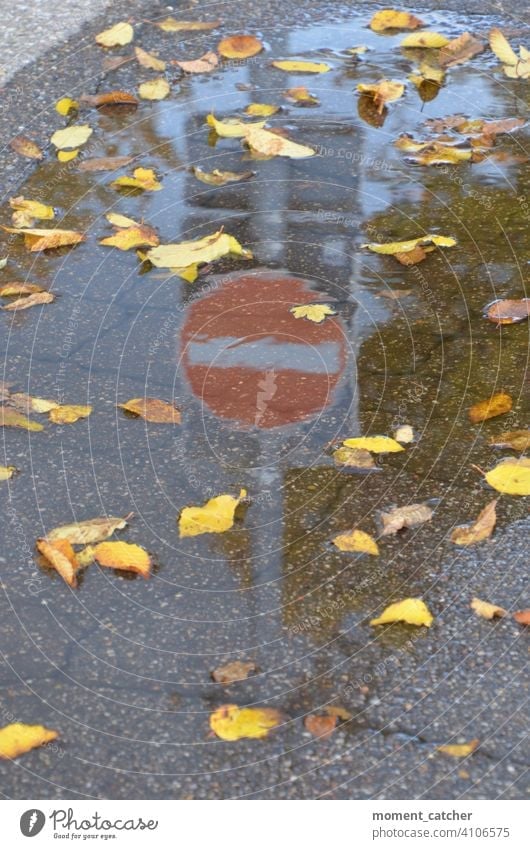 Einfahrt verboten-Schild spiegelt sich in Pfütze mit Herbstlaub Schilder & Markierungen Verkehrszeichen Verkehrsschild Verkerssicherheit Verbotsschild Zeichen