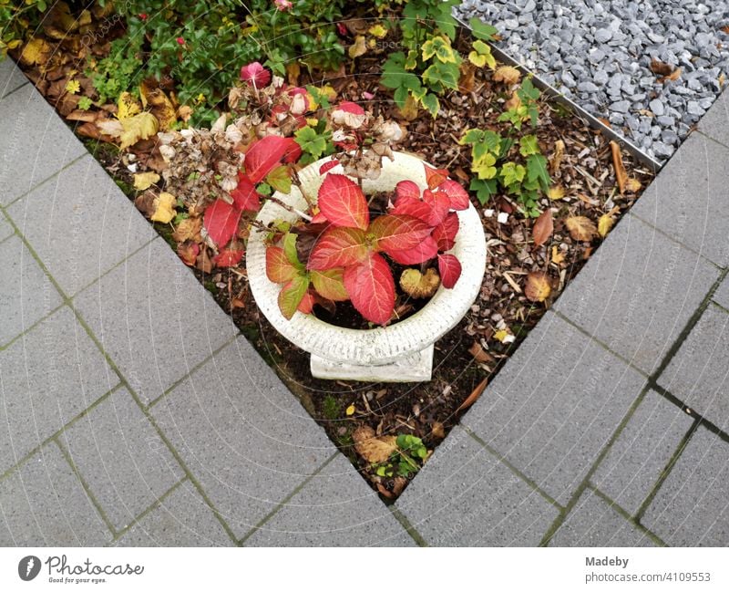 Kitschige Pflanzschale mit roten Blättern in einem Vorgarten mit grauem Pflasterstein und grauem Kiesel in Oerlinghausen bei Bielefeld am Hermannsweg im Teutoburger Wald in Ostwestfalen-Lippe