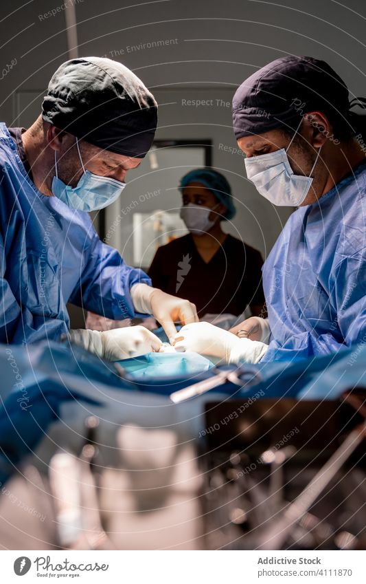 Tierärztliches Personal während einer Operation in einer modernen Klinik Chirurg Veterinär Chirurgie Krankenhaus Sanitäter Arzt Behandlung Krankenpfleger Arbeit