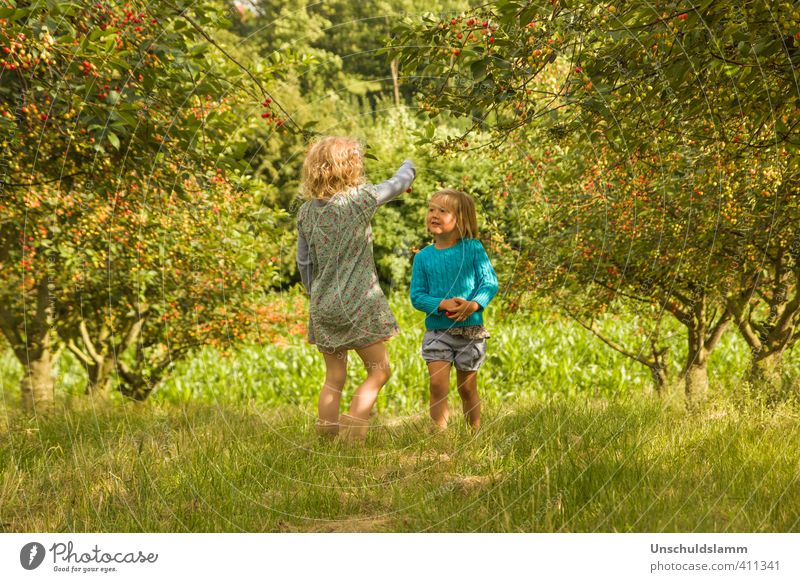 im Kirschwald Freizeit & Hobby Spielen Sommer Garten Mensch Mädchen Leben 2 3-8 Jahre Kind Kindheit Umwelt Natur Landschaft Obstbaum Kirschbaum Kirsche Wiese