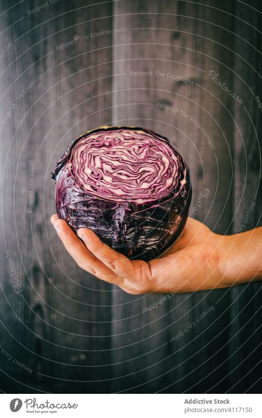 Erntehelfer mit Rotkohl Person Gesundheit Diät frisch zeigen Wand hölzern organisch Vegetarier Vitamin Nutzholz schwarz Holz Lebensmittel Wellness Mahlzeit