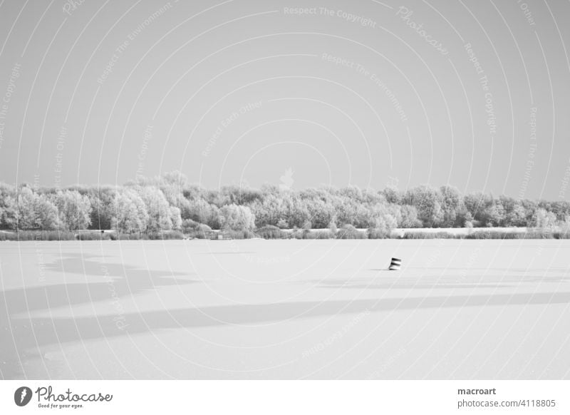 zugefrorener See Winterlandschaft winter see eis eisdecke jahreszeit eisig kühl kälte kalt weiß grau tag spuren bäume schneedecke