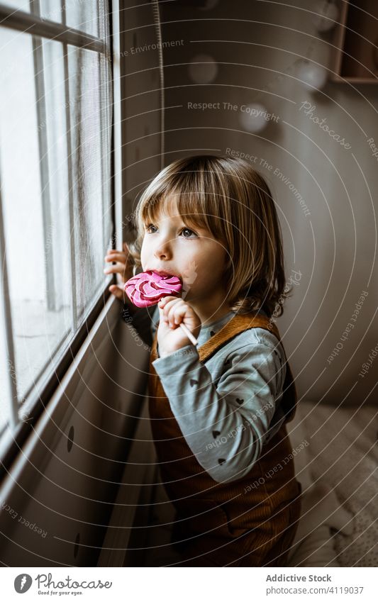 Kleines Mädchen mit Süßigkeiten schaut aus dem Fenster Lollipop saugen heimwärts gemütlich ruhen neugierig wenig süß lässig Kind Raum verträumt Kindheit