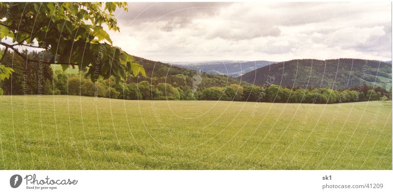 Bergpanorama mit Wiese und Baum Blatt Feld grün schön Wolken Thüringer Wald Ferne Panorama (Aussicht) Thüringen Berge u. Gebirge Idylle Natur Himmel Landschaft