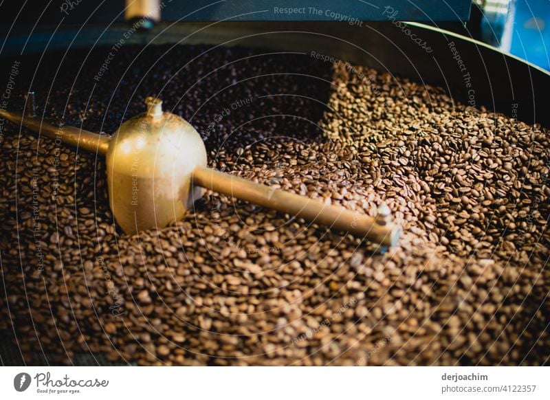 In der Kaffee Rösterei. Hier werden die Bohnen getrocknet. Kaffeebohnen Nahaufnahme aromatisch geröstet braun Tag Koffein Morgen