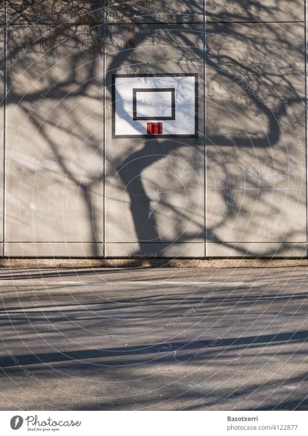 Schatten eines Baumes fällt auf eine Gebäudewand mit Basketballkorb. Schulhof in Vitoria, Baskenland, Spanien Frühling Wand Nachmittag Sonne sonnig bedrohlich