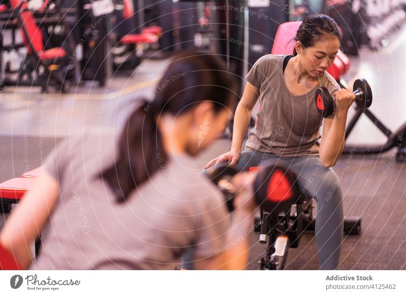 Ethnische Sportlerin beim Training mit Hanteln auf einer Bank in einem modernen Fitnessstudio Frau Kurzhantel Bizeps Steigung Übung Athlet Wohlbefinden sitzen