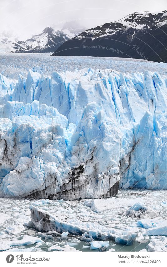 Eiskalben vom Endpunkt des Perito-Moreno-Gletschers in Patagonien, Argentinien. zerlaufen Perito Moreno Klimawandel Umwelt polar Natur Antarktis Erwärmung