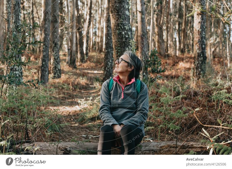 Alte Frau sitzt über einem Baumstamm im Wald während eines herbstlichen Tages mit Kopierraum, Wellness-Trekking ein Jogging-Konzepte Person älter Ruhestand