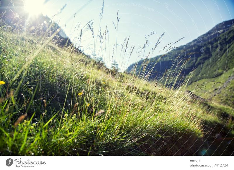 Bergwelt Umwelt Natur Landschaft Pflanze Schönes Wetter Gras Hügel Berge u. Gebirge natürlich grün Farbfoto Außenaufnahme Menschenleer Morgen Tag Sonnenlicht