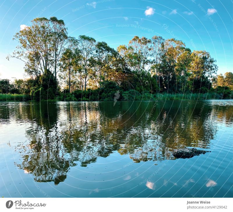 Bäume, Wolken und Himmel spiegeln sich in einem See am späten Nachmittag. Reflexion & Spiegelung Spiegelung im Wasser Reflexion der Wolken im See Natur
