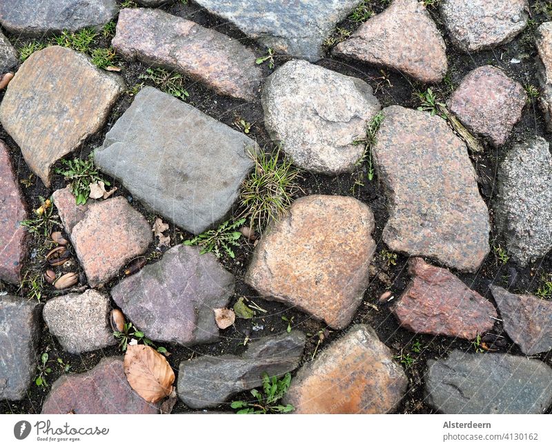 Ausschnitt aus einem Weg mit Kopfsteinpflaster Erde zwischen den Steinen Löwenzahn, Gras und trockene Blätter Naturstein verschieden unterschiedliche Größe