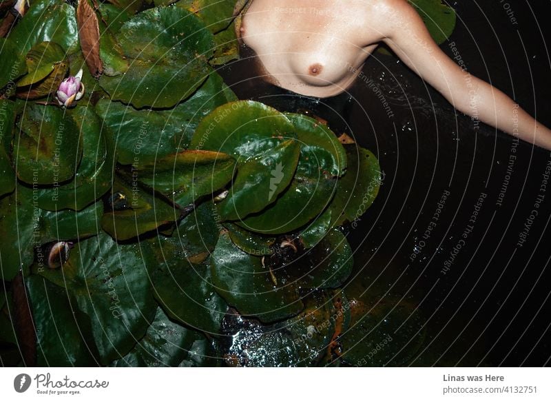 Ein wunderschönes nacktes Mädchen schwimmt nachts in dunklen Gewässern. Die Nippel zeigen sich, warum auch nicht. Sie fühlt sich sexy und frei in ihrer eigenen Haut. Seerosen mit großen grünen Blättern sind auch in diesem Bild zu sehen. Das hätte ich fast vergessen.