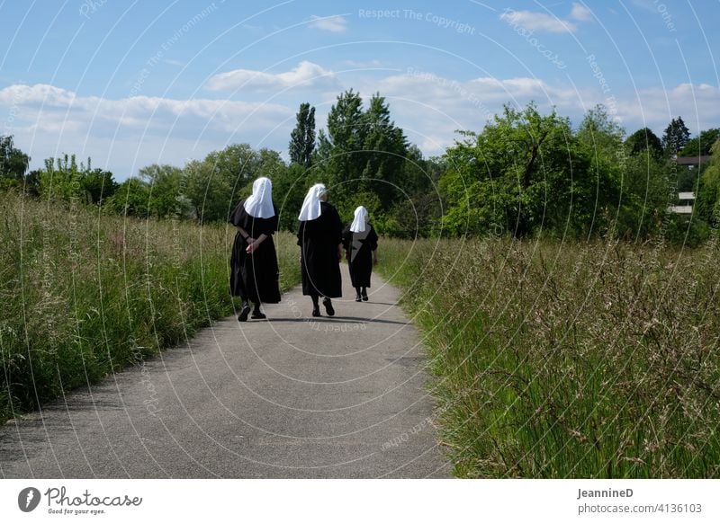 drei Nonnen am spazieren mit hohem Grass am Wegrand Frau Tag Natur Landschaft Wiese Wege & Pfade bedächtig gehen Glaube Spaziergang Gott Erholung achtsam Himmel