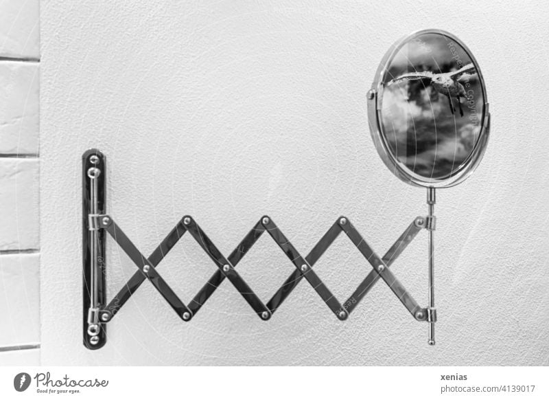 Illusion / Möwe fliegt über den ausgezogenen Schminkspiegel in das Badezimmer Spiegel Kosmetikspiegel ausziehbar rund fliegen Reflexion & Spiegelung