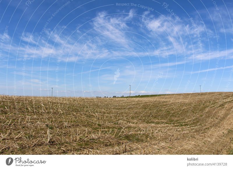 Stoppelfeld oder abgeerntetes Feld unter blauem Himmel mit Schleierwolken Landschaft Landwirtschaft Menschenleer Farbfoto Stroh Außenaufnahme Schönes Wetter