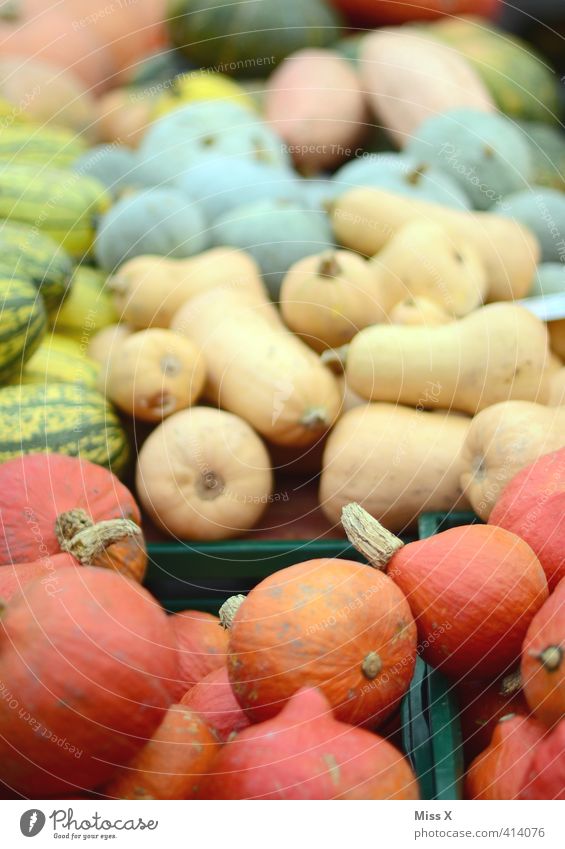Kürbiszeit Lebensmittel Gemüse Ernährung Bioprodukte Vegetarische Ernährung Diät frisch Gesundheit lecker rund Sorte viele verkaufen Ernte Marktstand