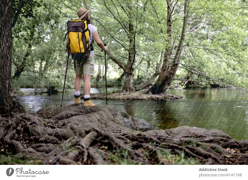 junger Mann auf einem Wanderweg an einem See mit vielen Bäumen und Naturgebieten mit Blick auf die Landschaft wandern reisen Abenteuer Sommer Trekking Tourist