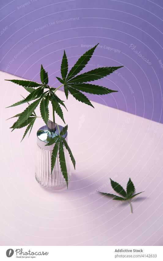 Marihuana Blätter in Farbe Hintergrund - ein lizenzfreies Stock