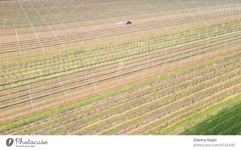 Luftaufnahme von landwirtschaftlichen Feld im Frühjahr. Sprayer sprüht Obstgarten Insektizid in Obstgarten , Frühling Saison. oben Antenne Ackerbau Agronomie