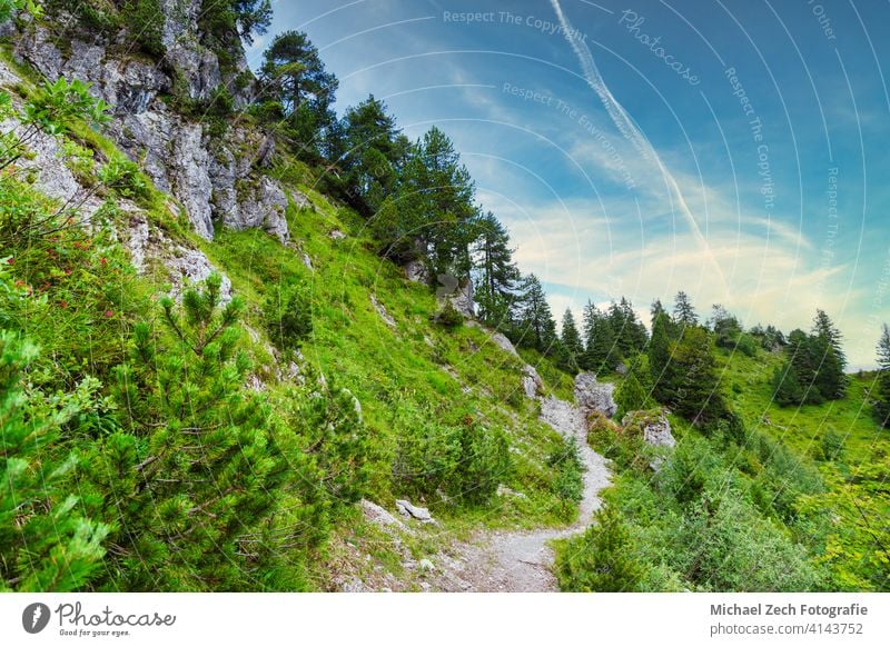 Sommerwanderweg in den Schweizer Alpen Natur wandern reisen Landschaft Tourismus malerisch Europa Berge u. Gebirge alpin Gipfel Ansicht Himmel Tal Nachlauf
