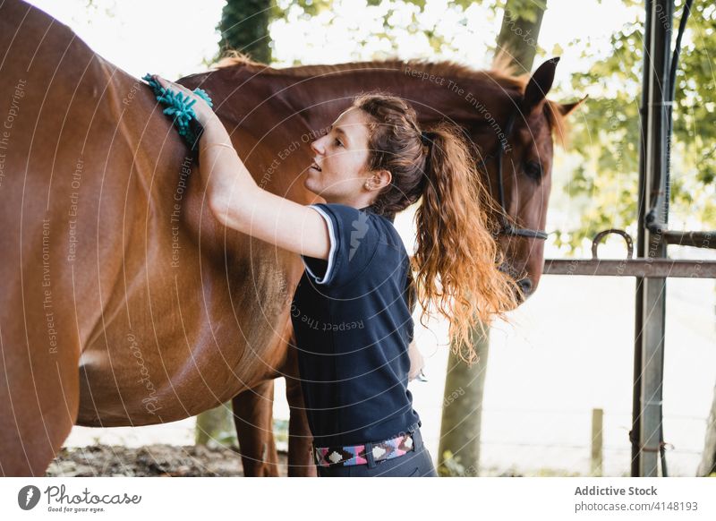 Junger Jockey bürstet Pferd im Stall Bürste Pflege Reiterin Frau Pferdestall Mähne Tier Werkzeug Gerät Zügel Zaumzeug pferdeähnlich jung beschäftigt