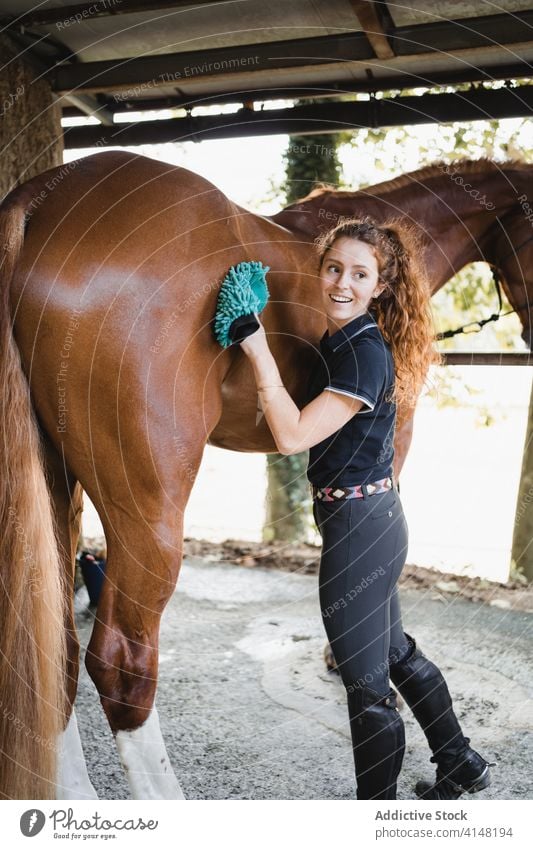 Junger Jockey bürstet Pferd im Stall Bürste Pflege Reiterin Frau Pferdestall Mähne Tier Werkzeug Gerät Zügel Zaumzeug pferdeähnlich jung beschäftigt
