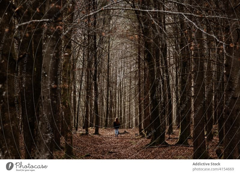 Anonymer Wanderer im Herbstwald Frau Wald laublos reisen Weg Saison fallen allein Wälder Natur unverhüllt kalt erkunden Baum Deutschland Österreich stumm