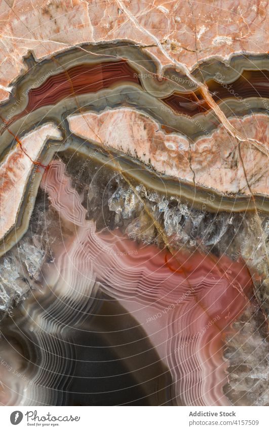 Nahaufnahme von Baker Ranch Thunderegg Poliert mehrfarbig kristallin Makro Makrofotografie Quarz geologisch Geologie thunderegg detailliert Struktur Natur Achat