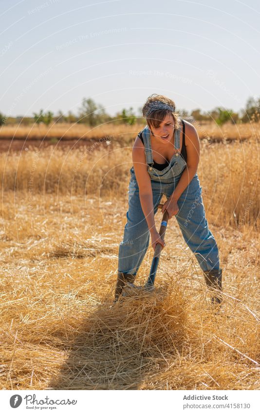 Frau arbeitet im Feld Dorf Sommer trocknen Gras Arbeit Harke Gummi Stiefel Landschaft Natur Feiertag Pflanze Wochenende Rasen Erholung gesamt getrocknet Wiese