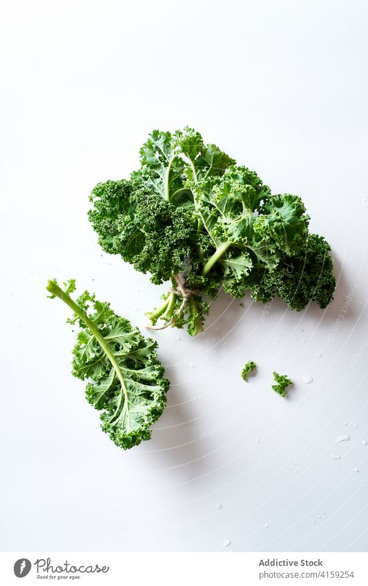Frischer Bio-Grünkohl Kale Gemüse frisch grün organisch Pflanze Gesundheit Lebensmittel Ackerbau Kohlgewächse Blatt roh lockig Bestandteil Salatbeilage niemand