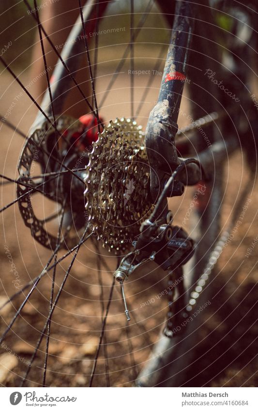 Mountainbike im Detail Fahrrad Freizeit & Hobby Fahrradfahren Detailaufnahme Speichenrad Mountainbiking Sport