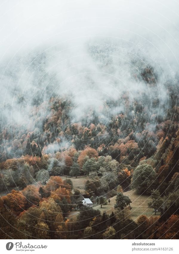 Nebliger Morgen in den Bergen Natur im Freien Abenteuer Wald Berge u. Gebirge Nebel neblig Baum Landschaft Spanien reisen Wetter natürlich Herbst erkunden Szene