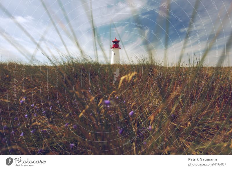 Lighthouse Umwelt Landschaft Pflanze Himmel Wolken Schönes Wetter Gras Sträucher Blüte Küste Nordsee Insel Sylt Haus Leuchtturm Freude Schutz ruhig Abenteuer