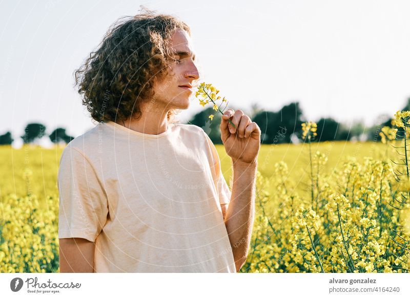 junger Mann mit lockigem Haar mit einer Blume in der Nase in einem Rapsfeld an einem sonnigen Frühlingstag gelb Natur Landschaft che männlich Porträt Typ