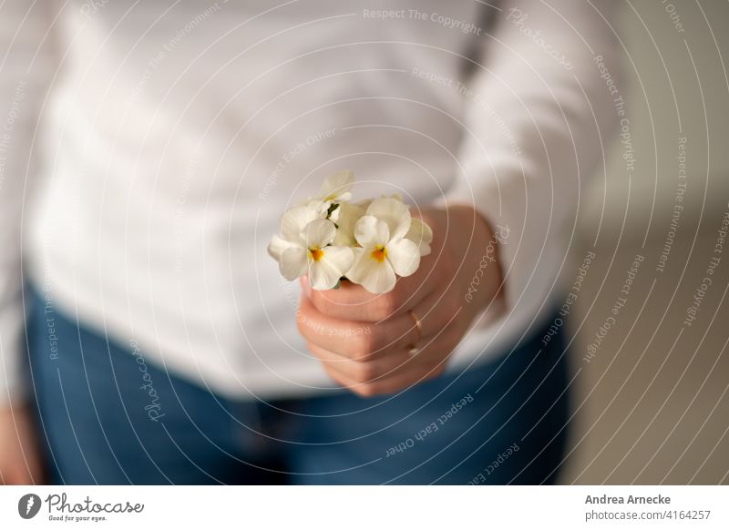 Frau hält einen Strauß Stiefmütterchen in der Hand Blumen Ring Jeans weißes Shirt feminin Blumenstrauß überreichen weiblich für dich Geschenk Geburtstag