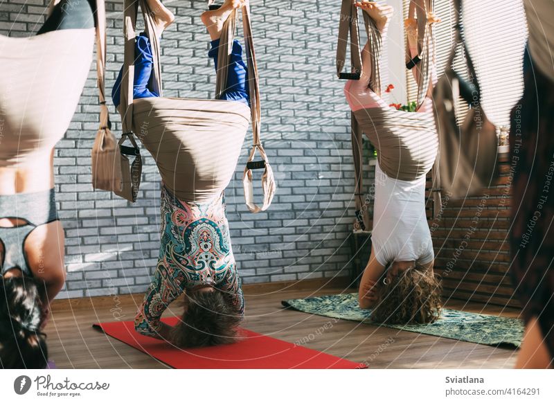 Eine Gruppe von jungen weiblichen Yogis, die Aerial Yoga in Hängematten in einem Fitness-Club machen. Aero Yoga, Sport, Fitness Übung Antenne Asana Frau