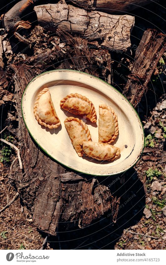 Leckere hausgemachte Pasteten auf einem Teller im Wald pastös heiß Mittagessen dienen Natur selbstgemacht lecker Kruste Lebensmittel sonnig Wälder appetitlich