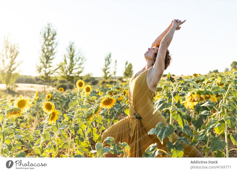 Entspannte Frau beim Yoga im Feld Sonnenblume Asana Natur sonnig ruhig Gelassenheit Kleid idyllisch Landschaft Gesundheit Harmonie Windstille Blume Wiese
