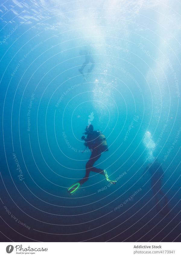 Taucher schwimmen in der Tiefsee zwischen der Wasservegetation unter Wasser Fisch Natur MEER farbenfroh Hintergrund Meer blau Umwelt tropisch Abenteuer