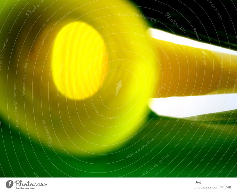 volles rohr gelb grün obskur reingucken