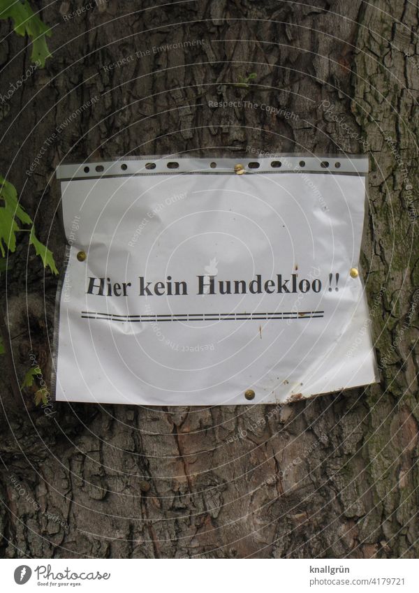 Hier kein Hundeklo! Mitteilung Baum Papier Information Kommunizieren Schriftzeichen Farbfoto Menschenleer Wort Text Buchstaben Typographie Sprache Kommunikation