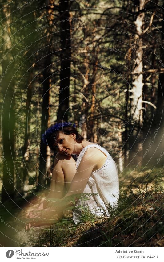 Verträumte barfüßige Frau, die sich an einem sonnigen Tag im Wald ausruht Knie umarmend romantisch verträumt Natur Harmonie sich[Akk] entspannen feminin Baum