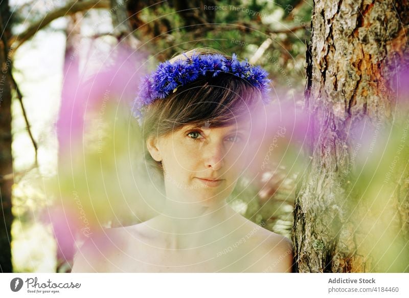 Romantische Frau mit Kranz auf dem Kopf, die sich im Park im Sonnenlicht ausruht ruhen Wald friedlich Windstille romantisch Erholung Natur Harmonie Stil Baum