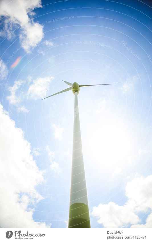 Windrad bei Sonnenschein und blauem Himmel Windkraftanlage Erneuerbare Energie Energiewirtschaft Rotor ökologisch Technik & Technologie Ressource Propeller